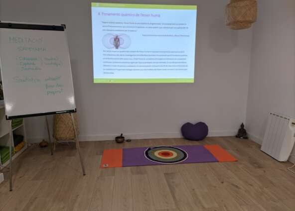 Curs de sanació a través dels txakres